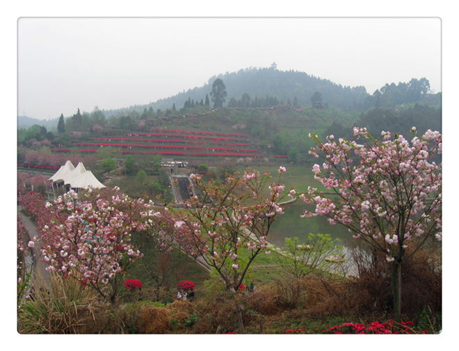 Ƭ 089.jpg