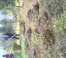 IMG_20130320_100144-1.jpg