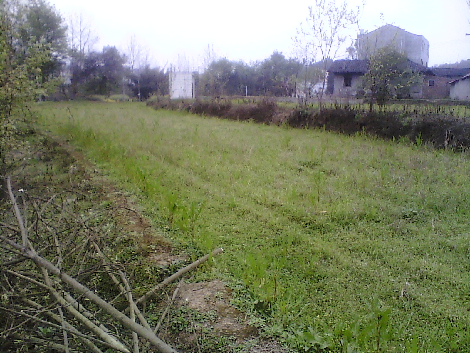 IMG_20130318_171841.jpg