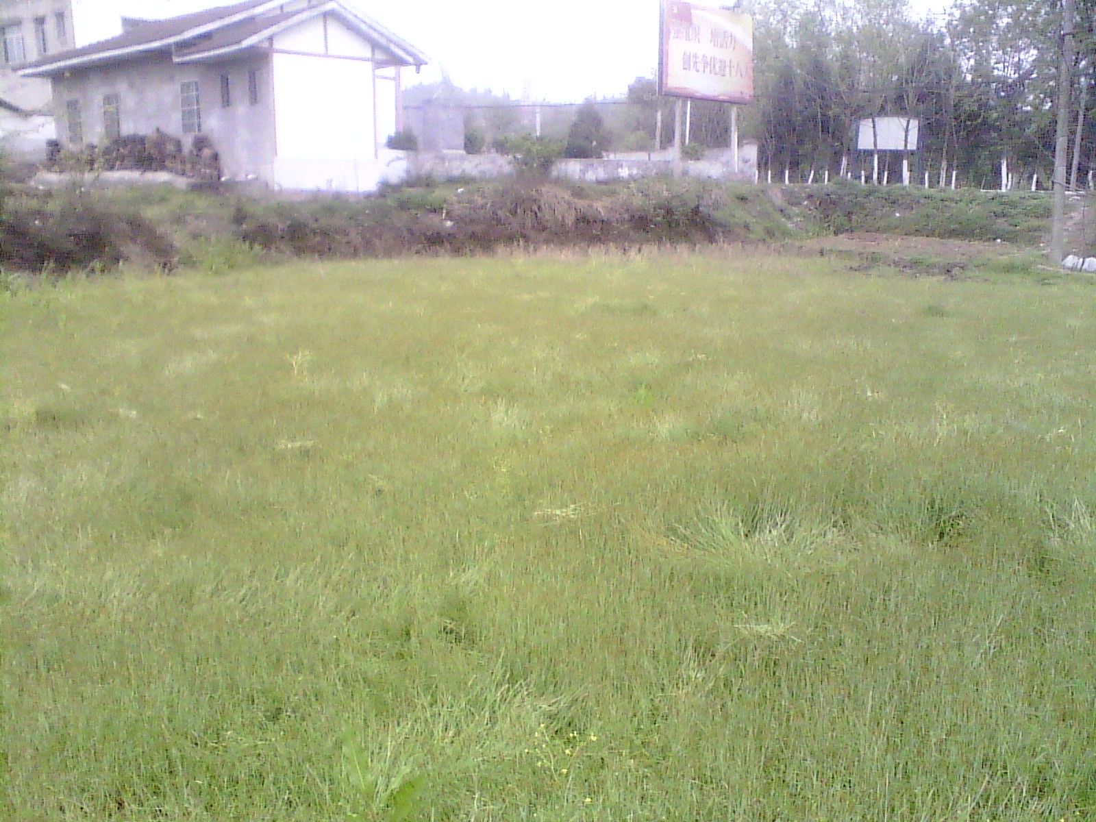 IMG_20130318_172104.jpg