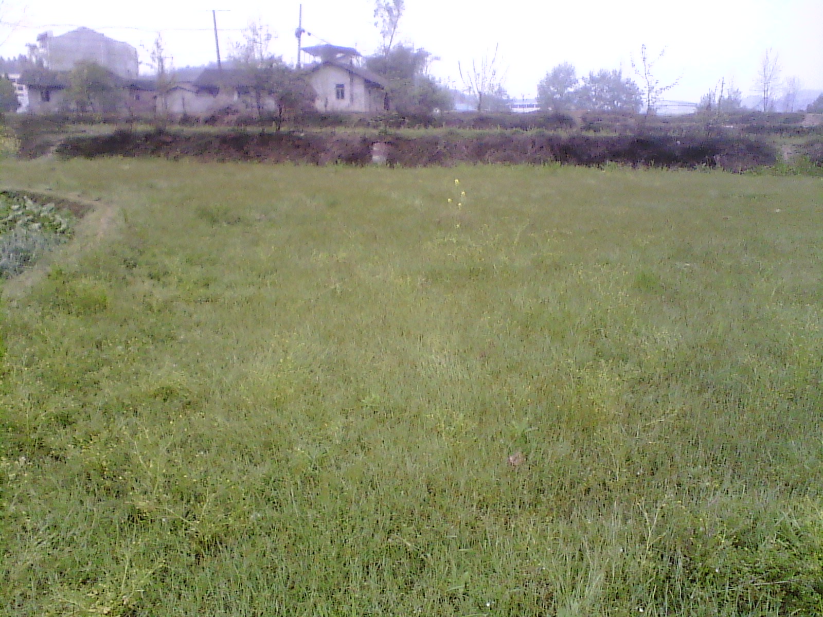 IMG_20130318_172146.jpg