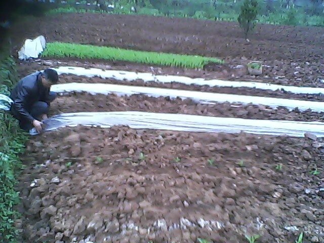 IMG1485A.jpg