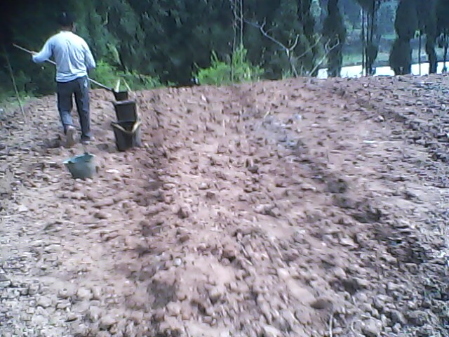 IMG1449A.jpg