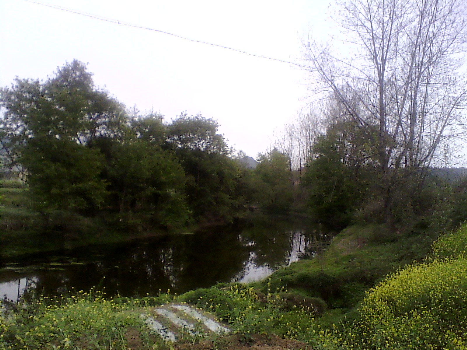 IMG_20130322_162445.jpg