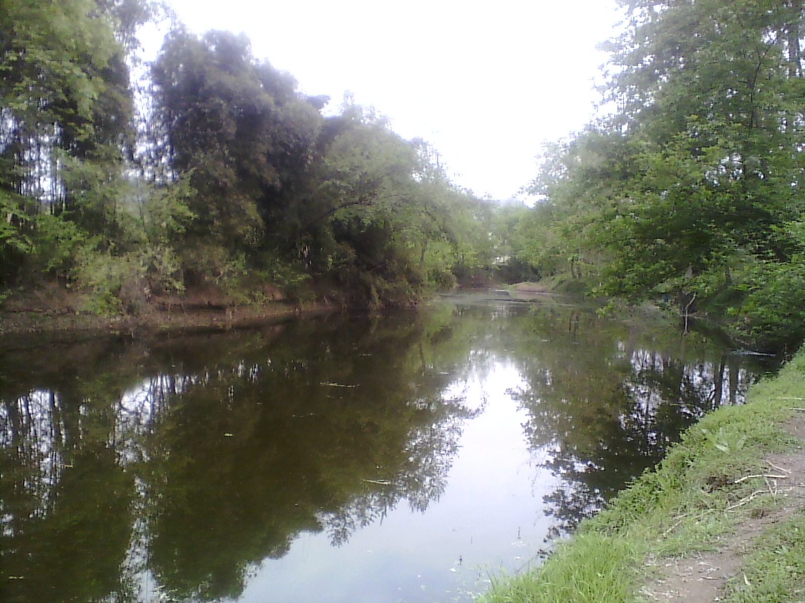 IMG_20130322_162715.jpg