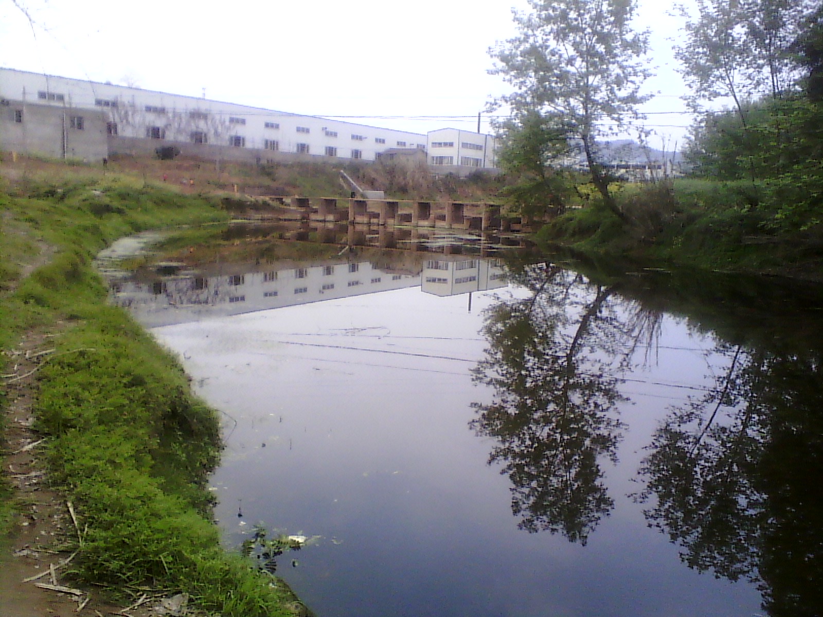 IMG_20130322_162814.jpg