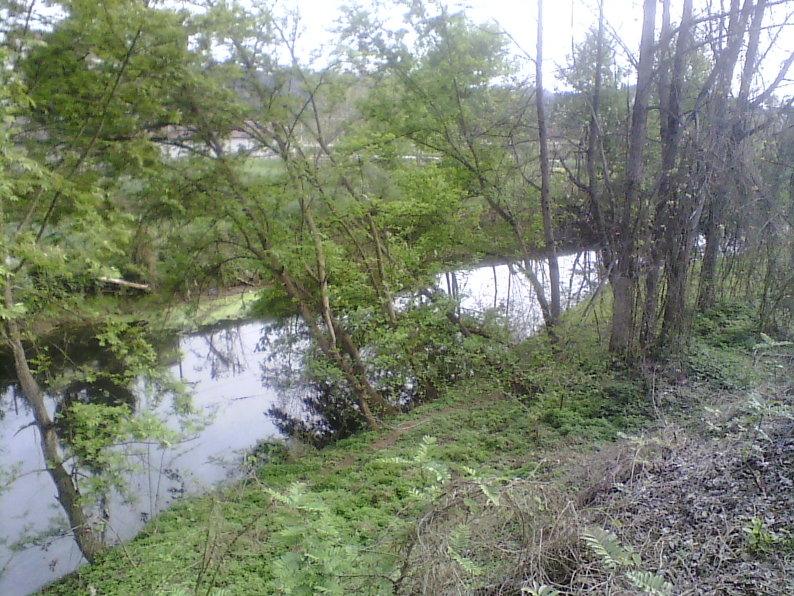 IMG_20130322_164046.jpg