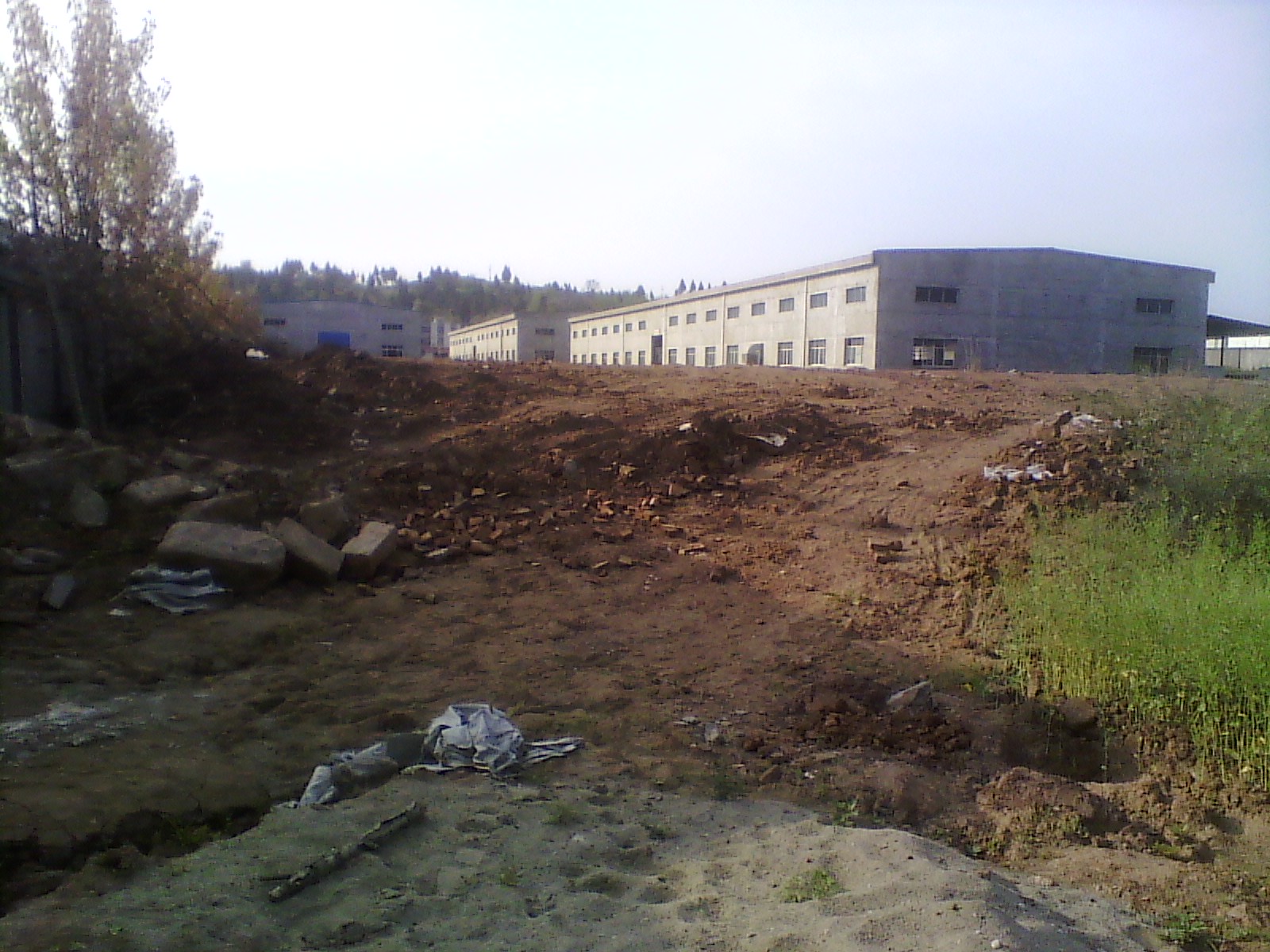IMG_20130322_165528.jpg