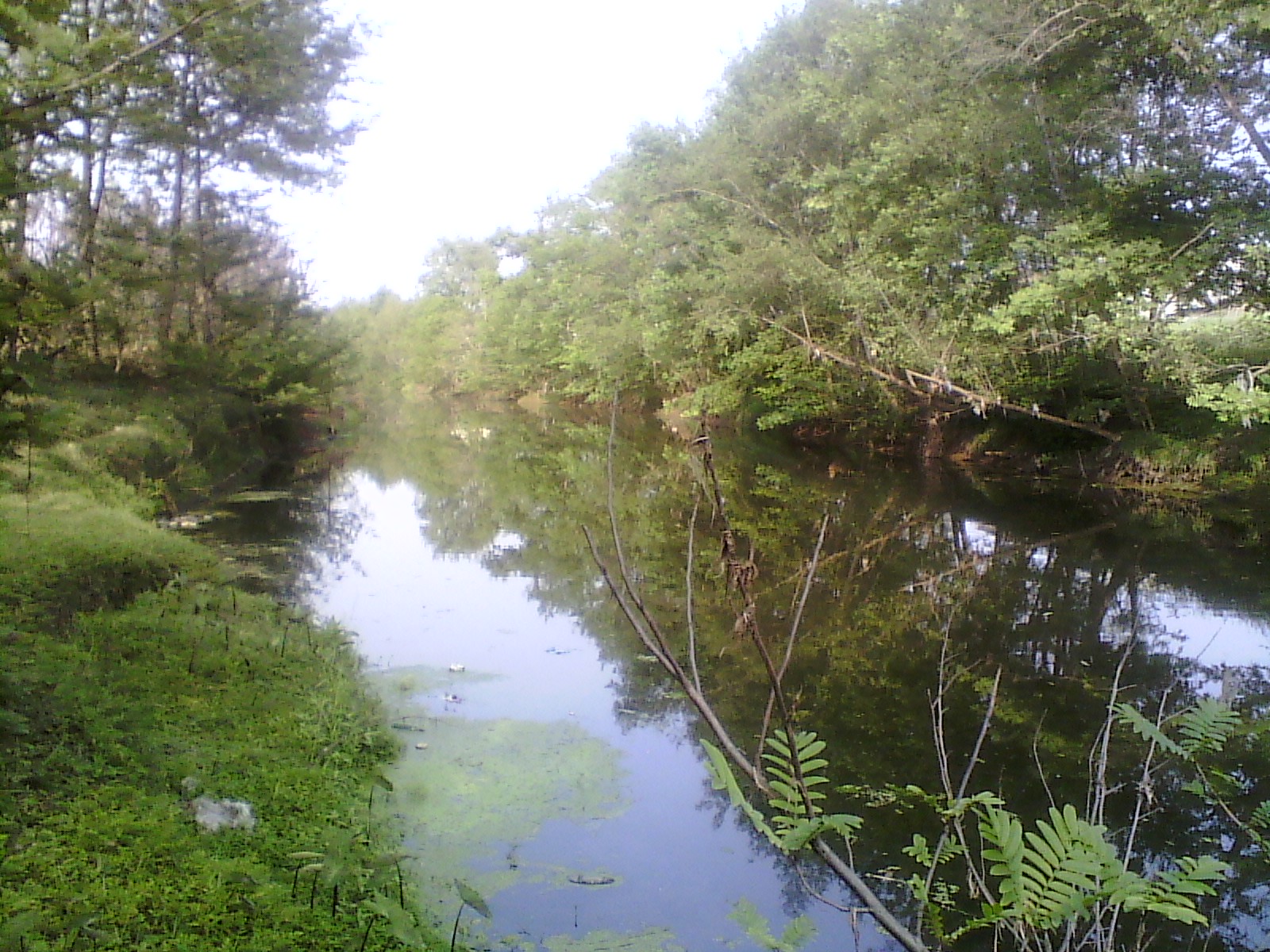 IMG_20130322_170611.jpg
