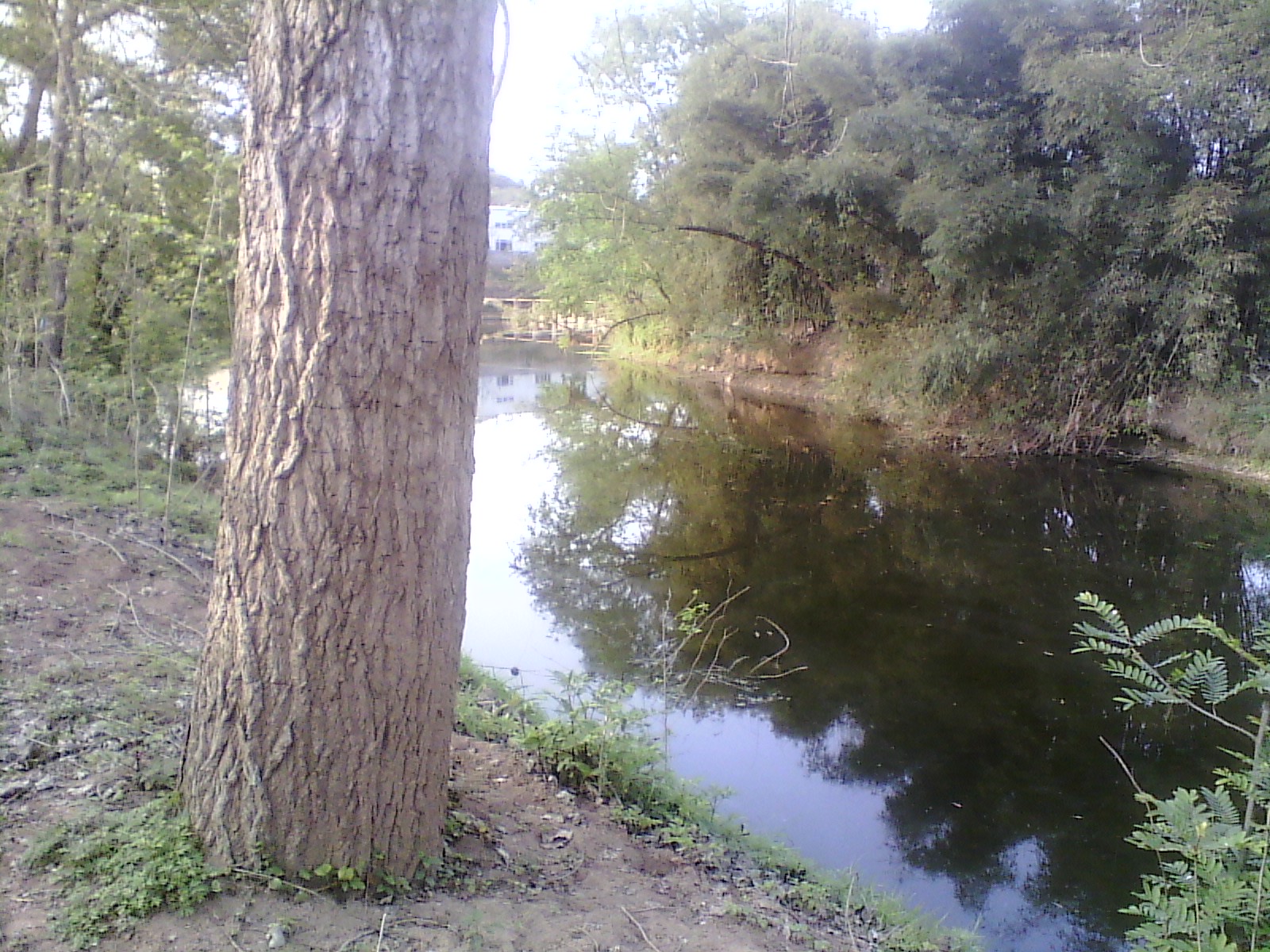IMG_20130322_173048.jpg