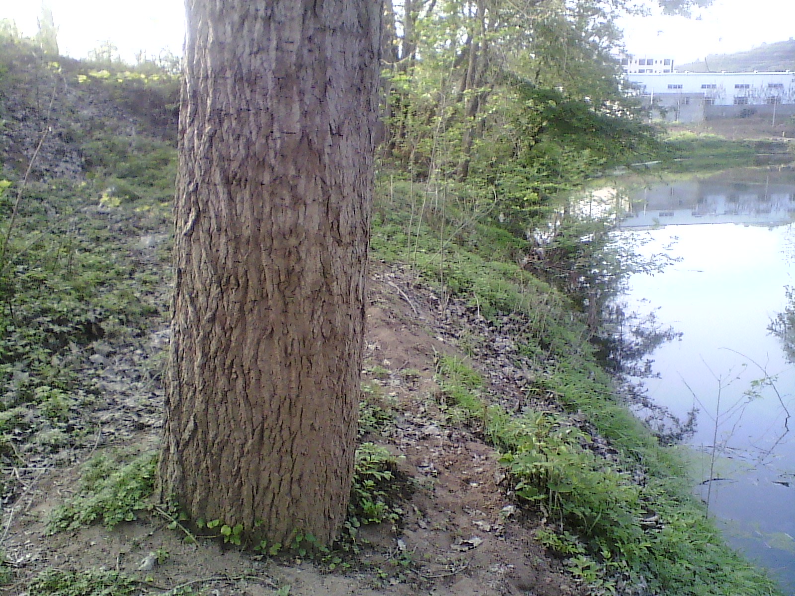 IMG_20130322_173148.jpg