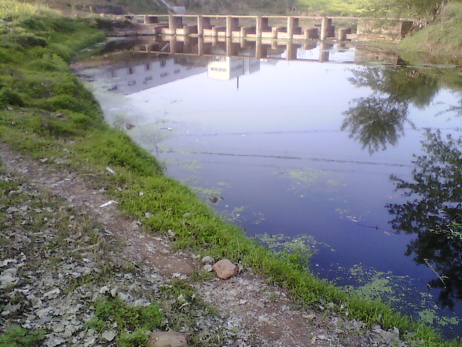 IMG_20130322_173926.jpg
