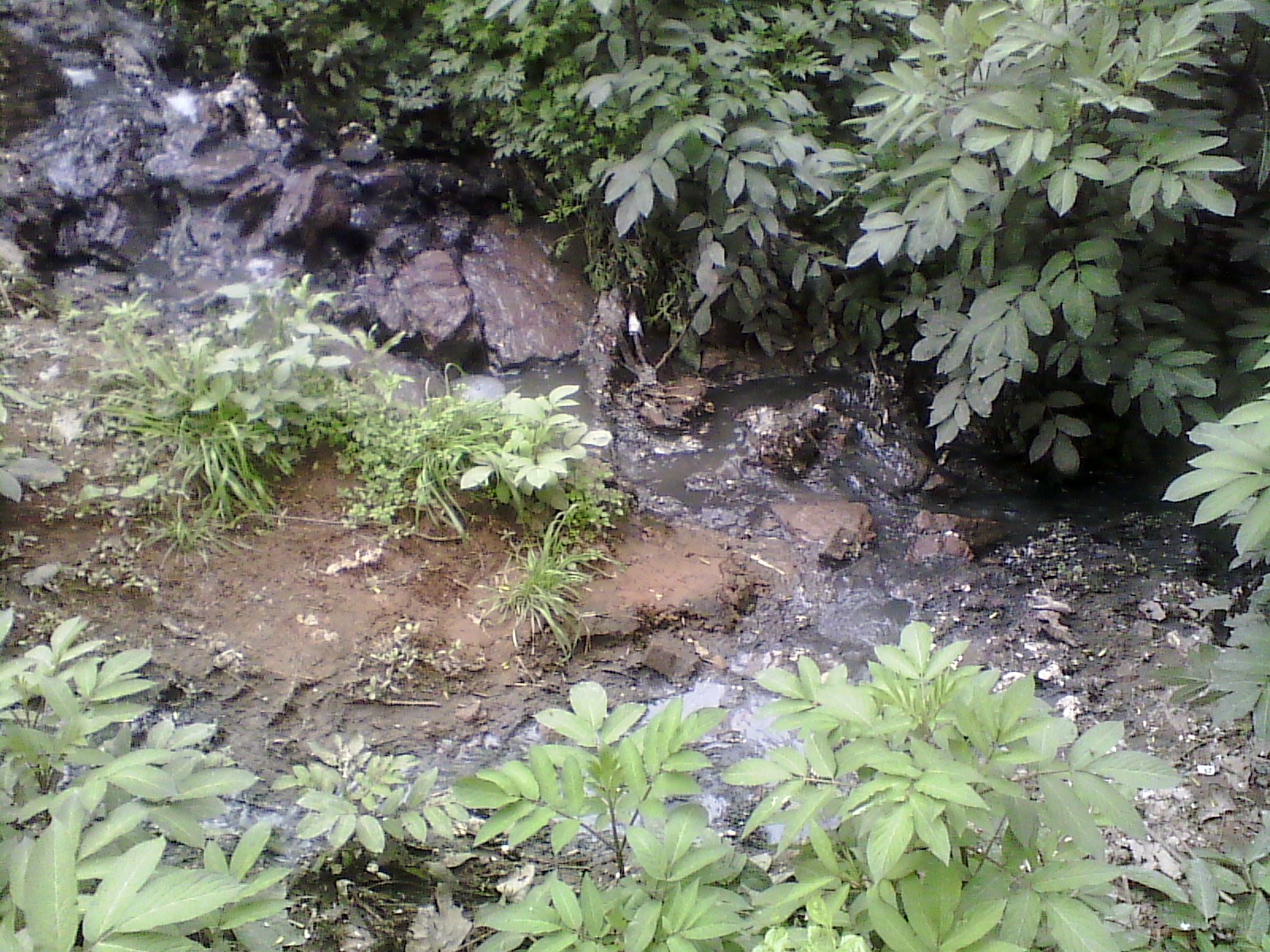 IMG_20130322_162928.jpg