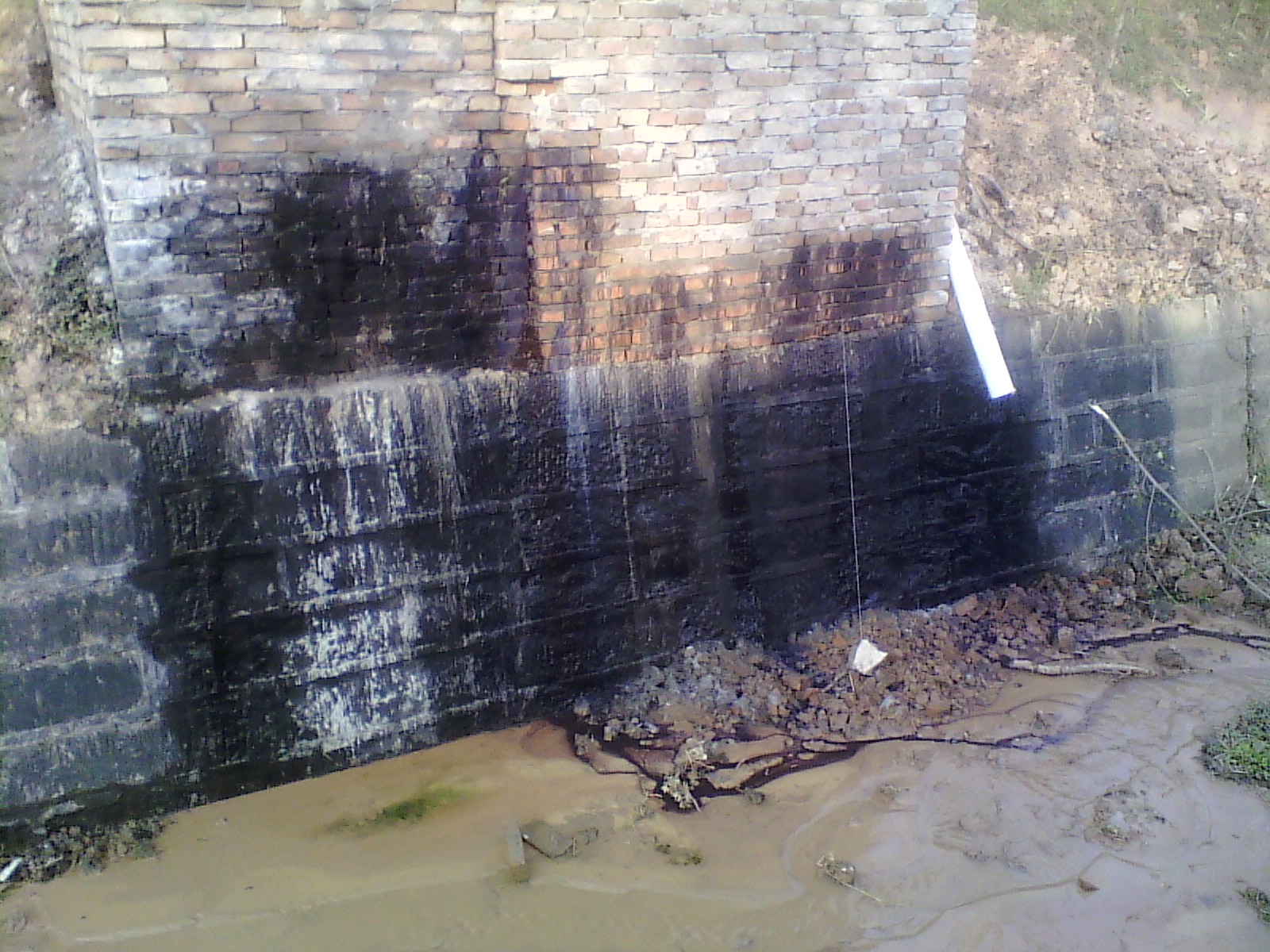 IMG_20130322_174540.jpg