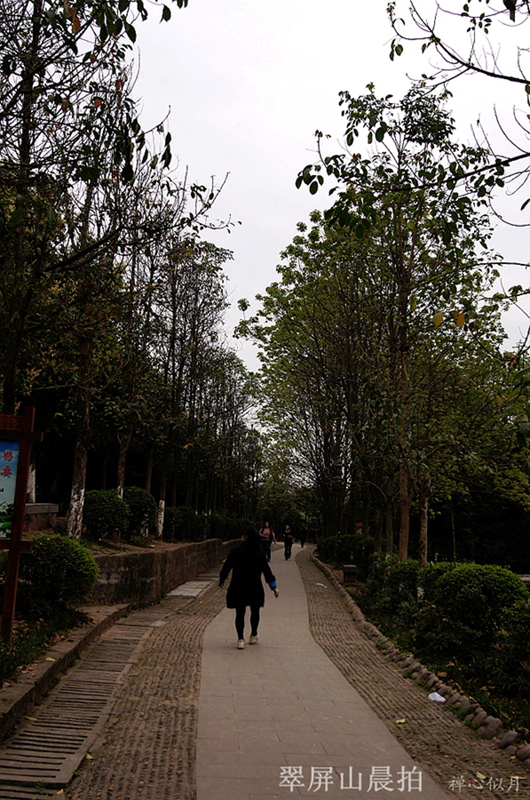 DSC01390_.jpg
