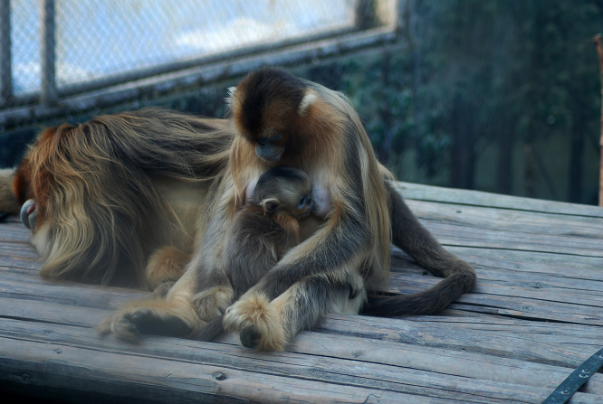 DSC_0415.JPG