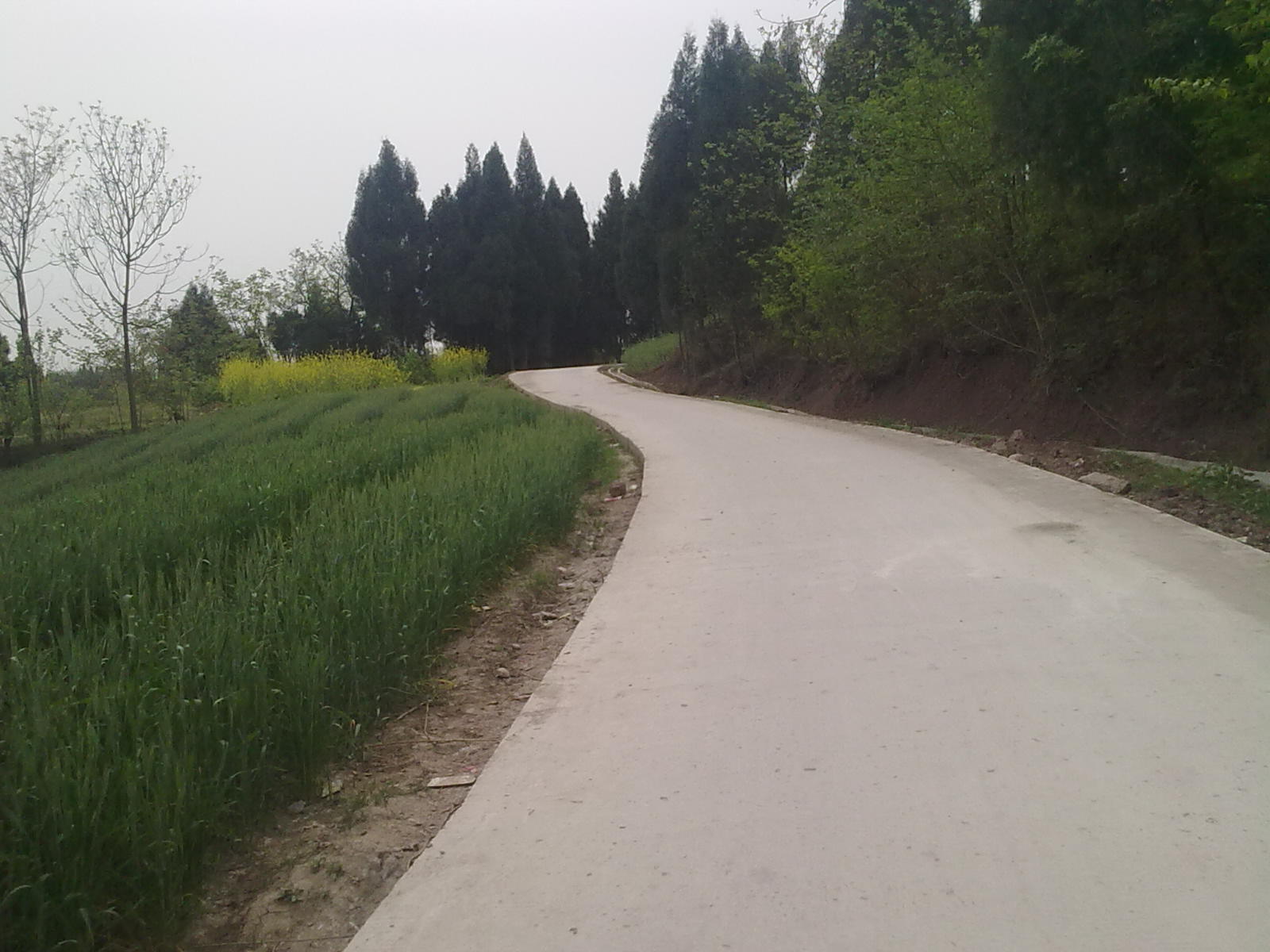 Ƭ 016.jpg