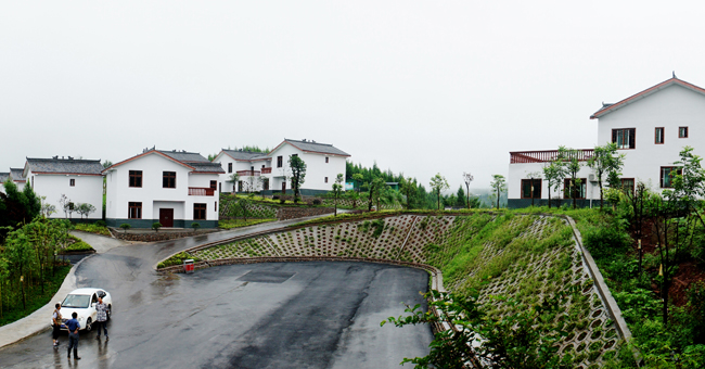 ֺ´续1.jpg