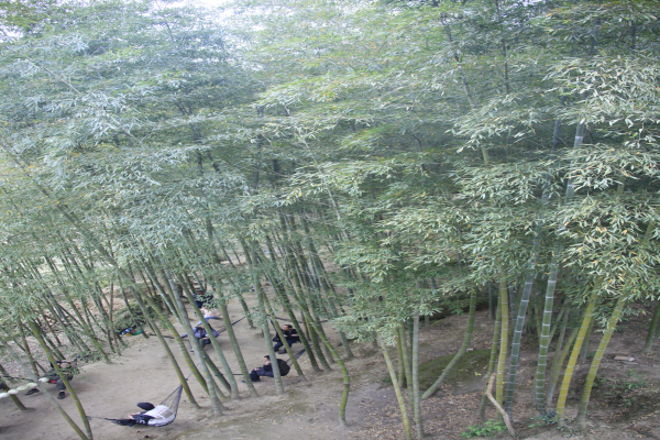 _MG_9732.jpg