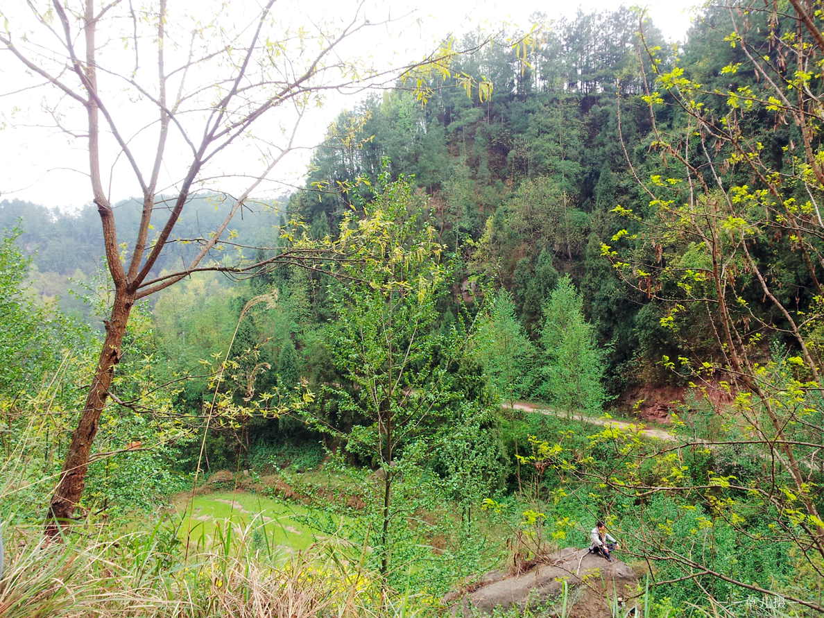 20130317_162519.jpg