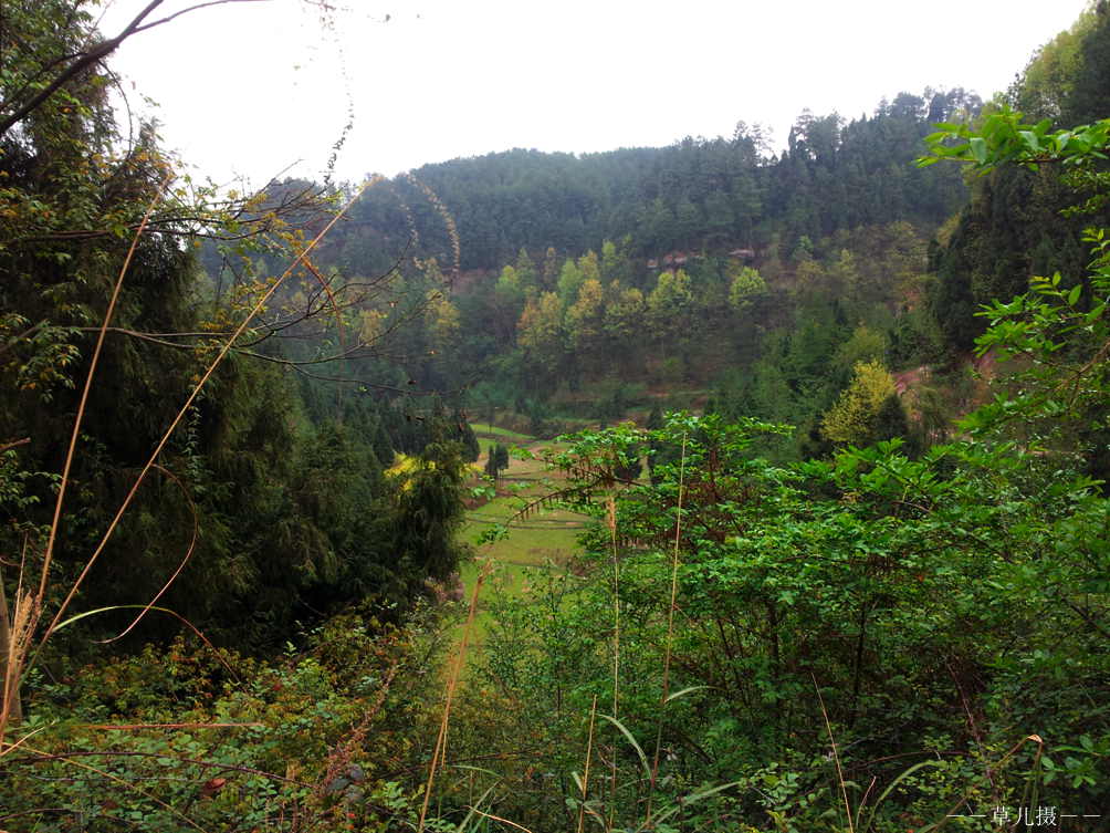 20130317_162638.jpg