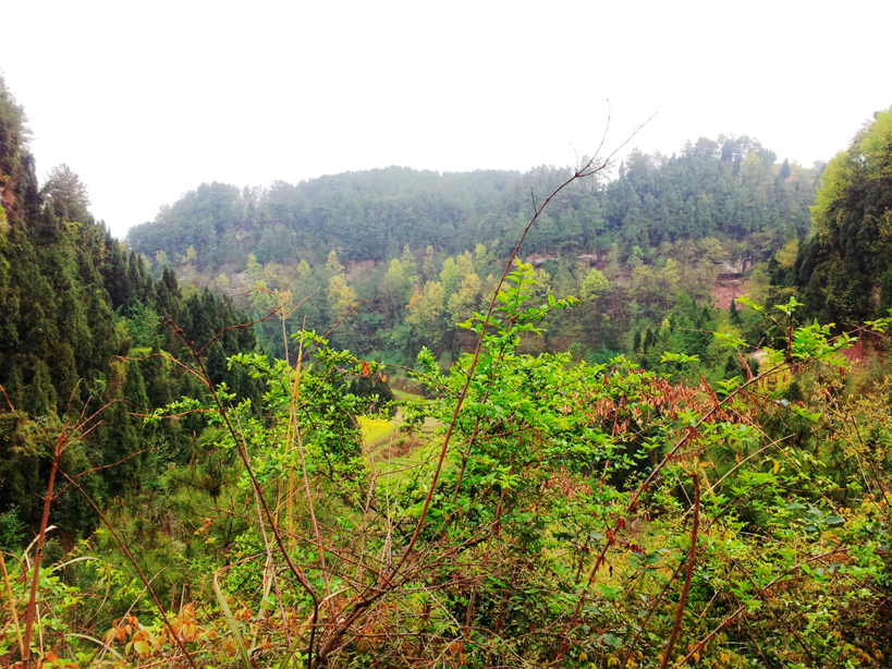 20130317_162739.jpg