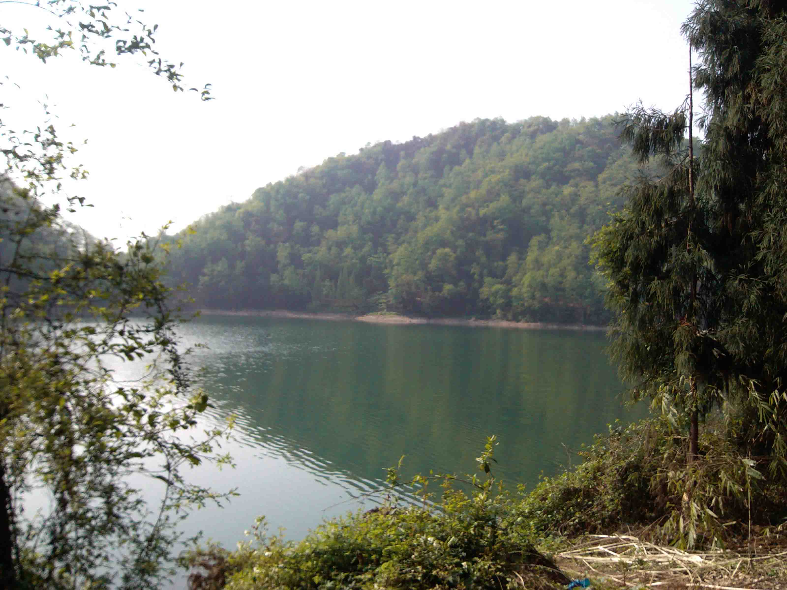 IMG_20130324_094851.jpg
