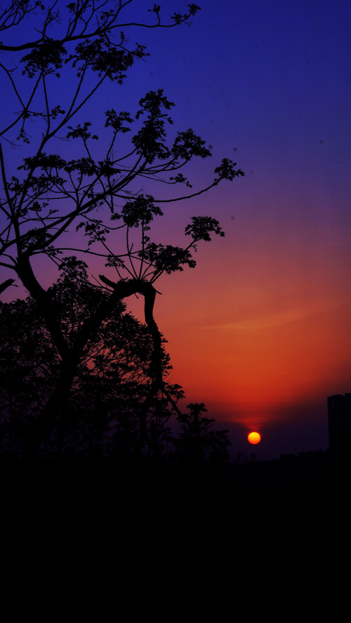 DSC03800_.jpg