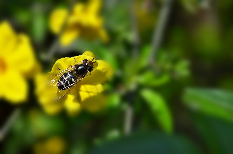 psb_meitu_26.jpg