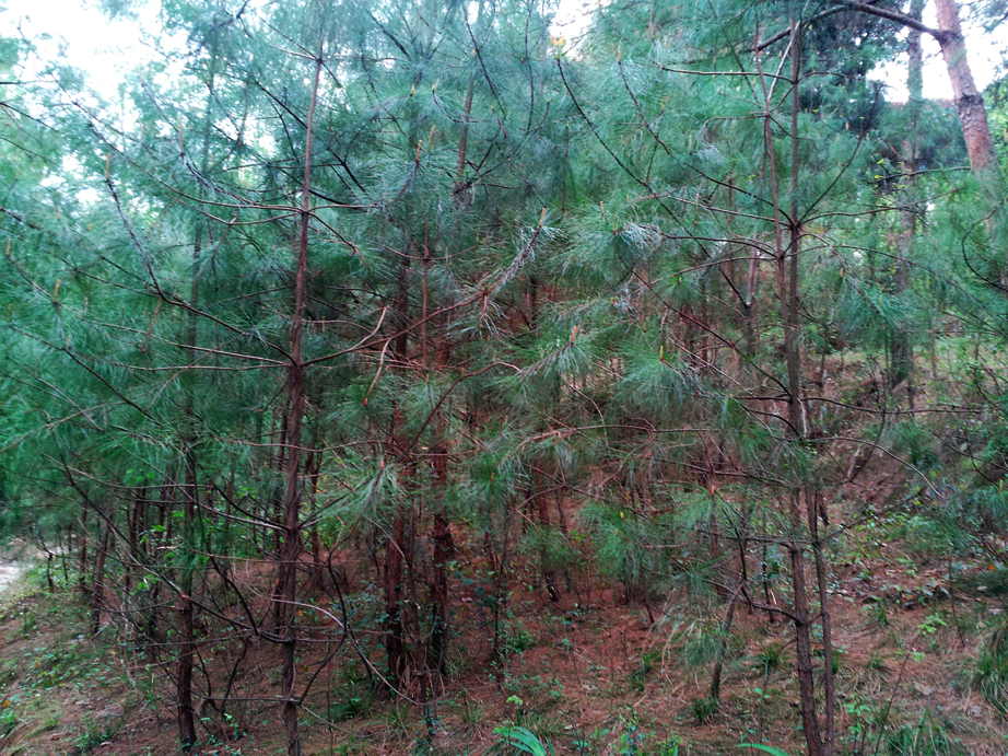 20130318_162004.jpg