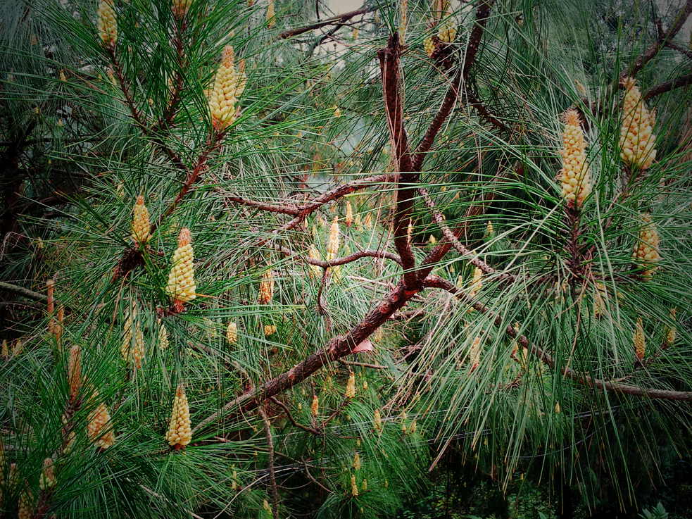 20130318_162335.jpg
