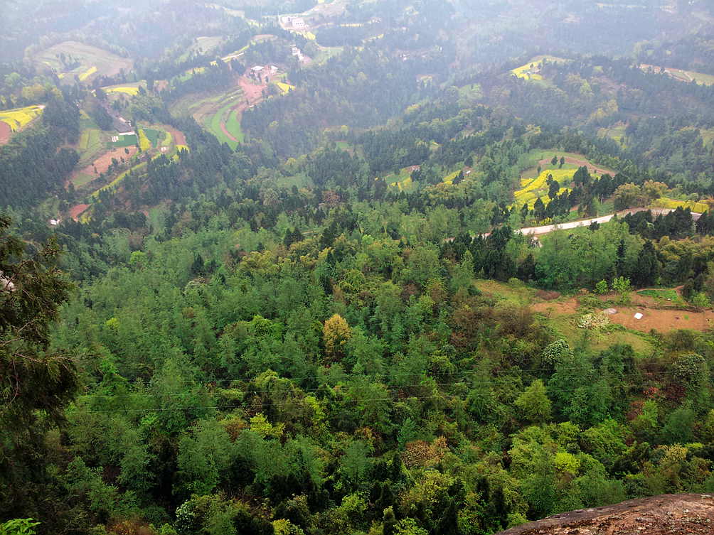 20130318_164930 - .jpg