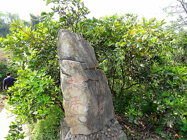 DSC04354_.jpg