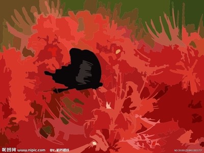 t01fd4d48df52d7faf8.jpg