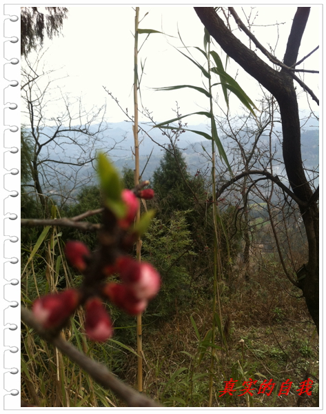 Ƭ 076.jpg