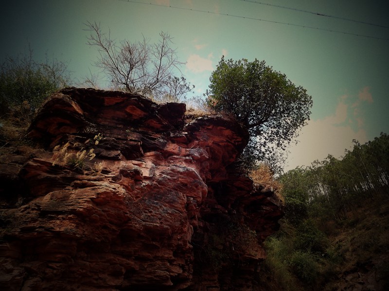 DSCF1289_.jpg