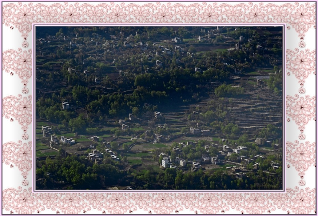 DSC_9662_.jpg