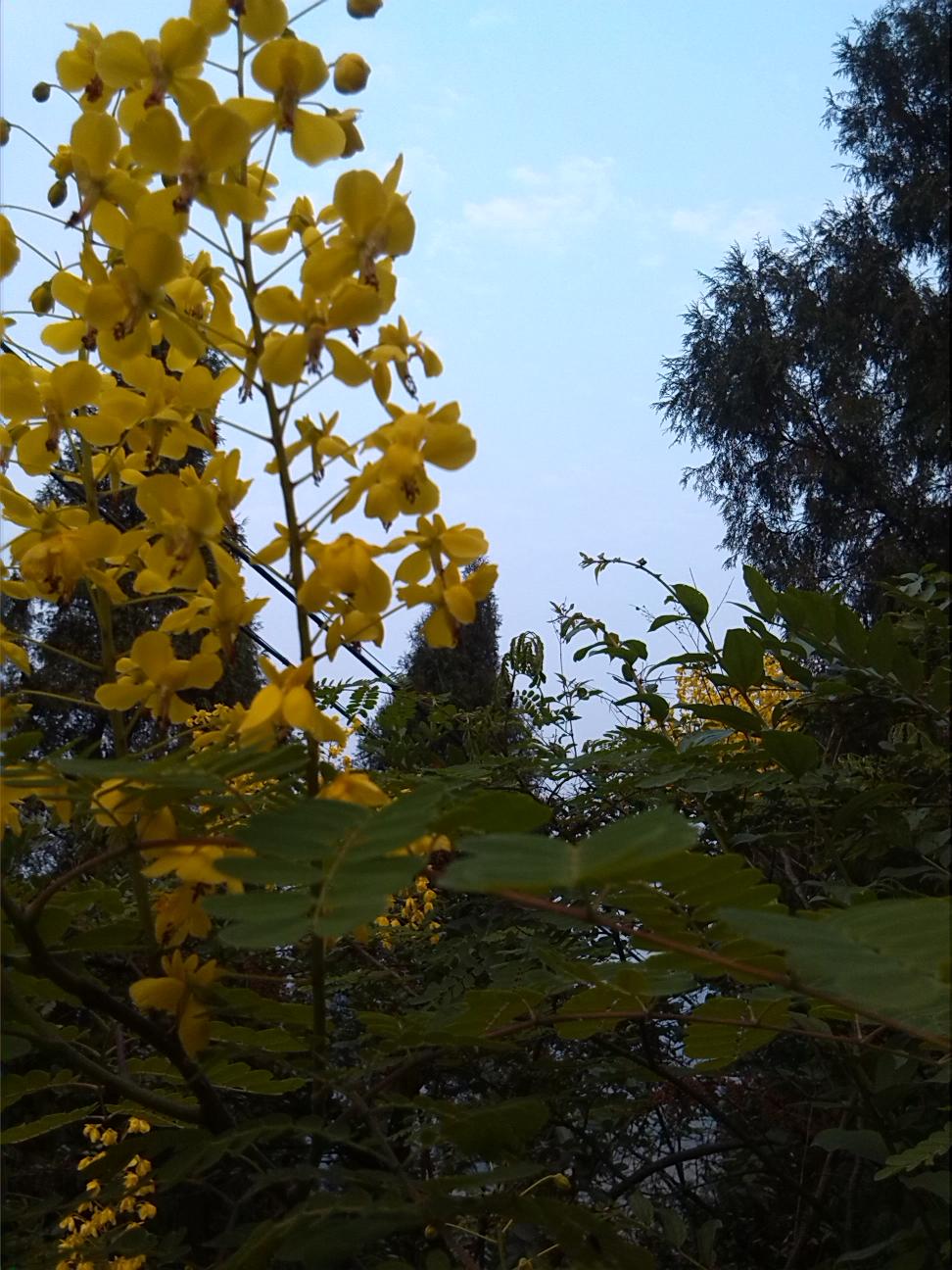 IMG_20130402_184903.jpg