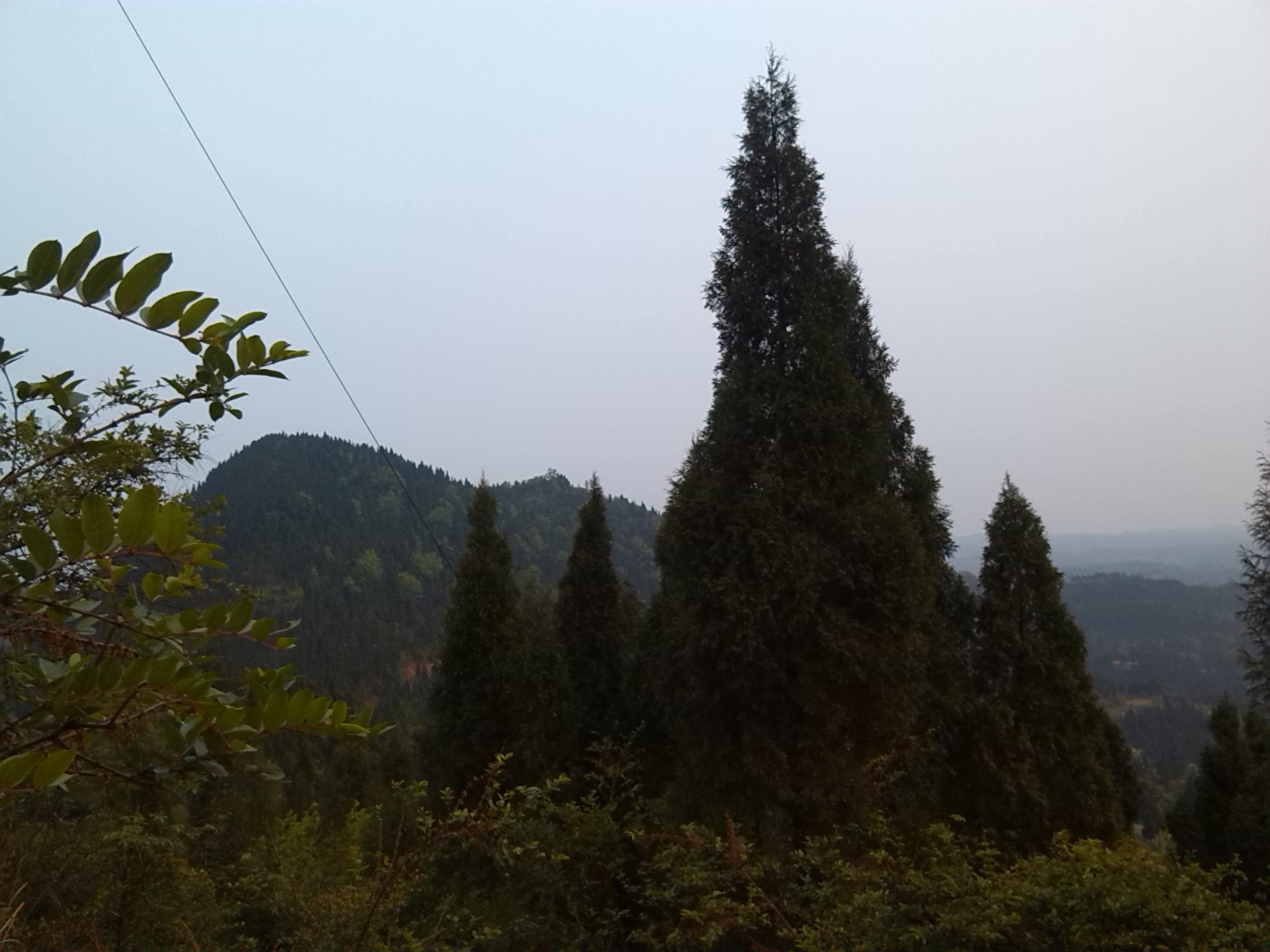 IMG_20130402_185715.jpg