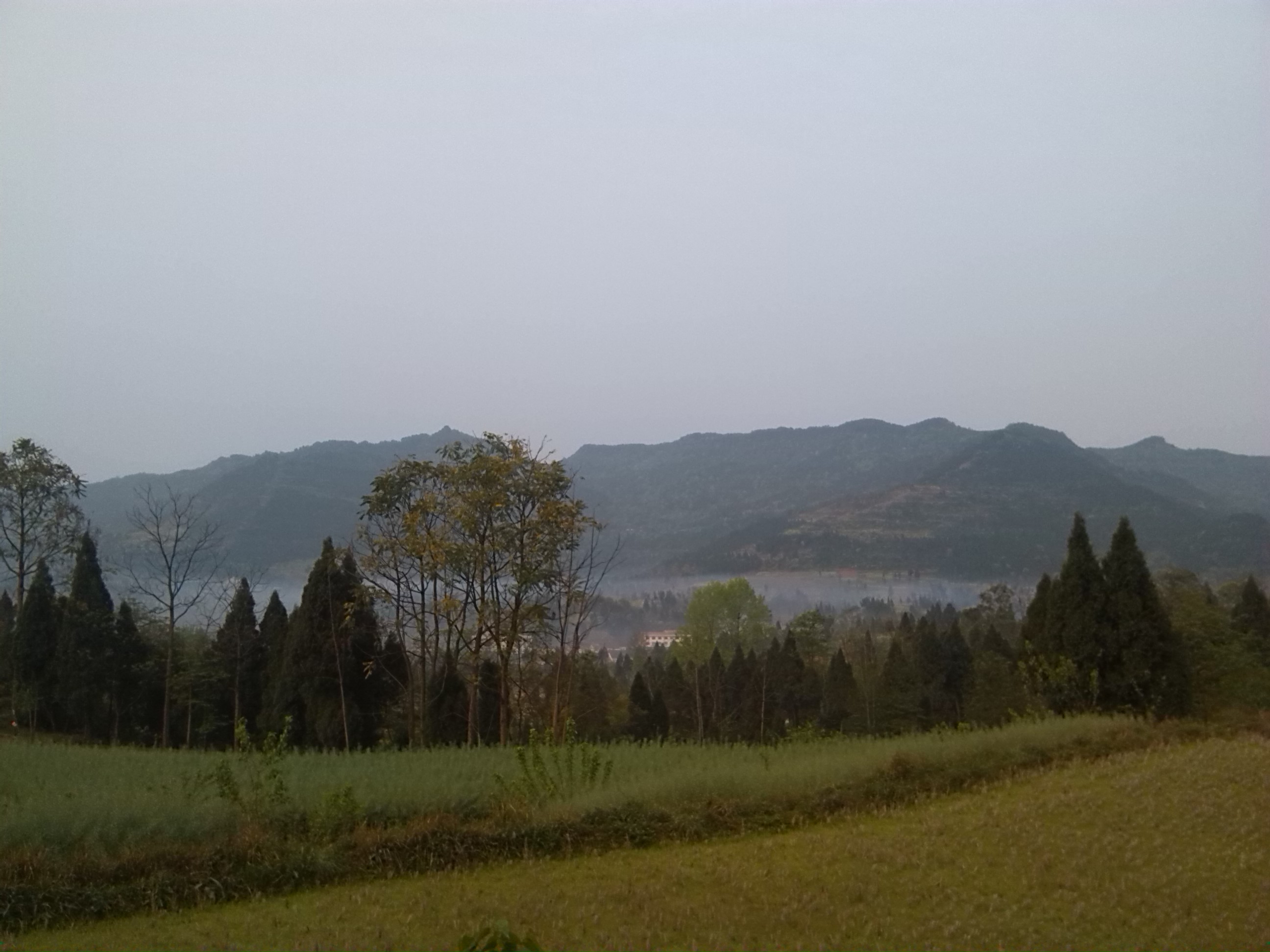 IMG_20130403_080027.jpg