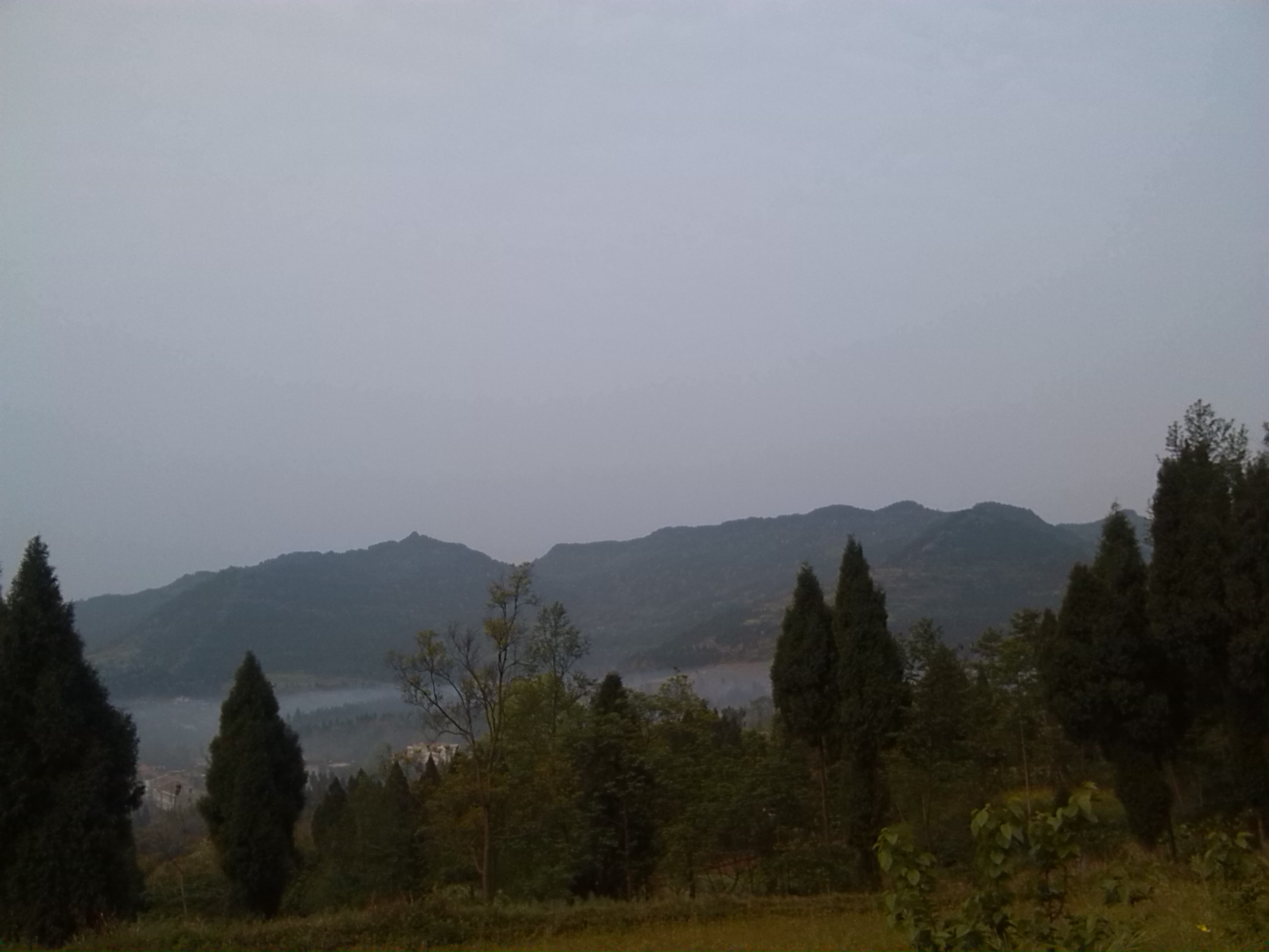 IMG_20130403_080113.jpg
