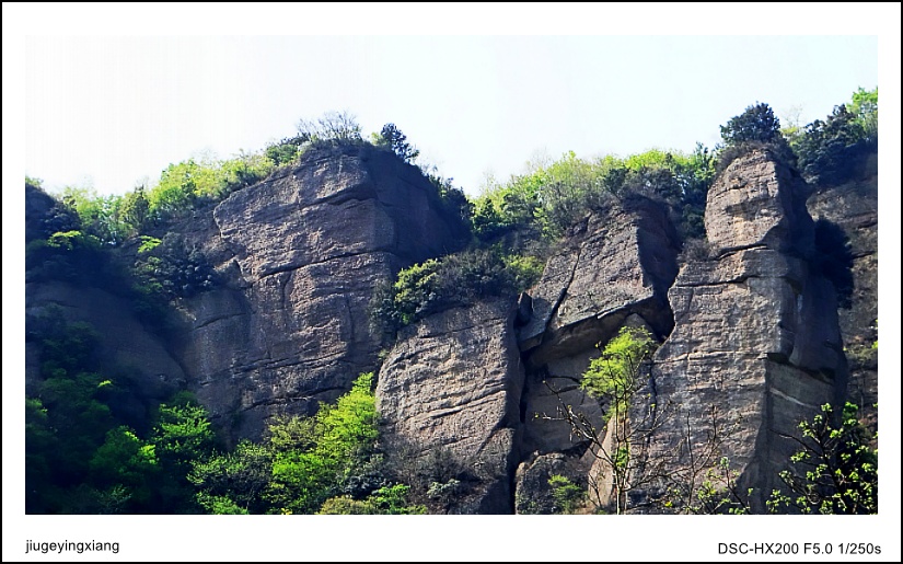 DSC04383_conew1.jpg