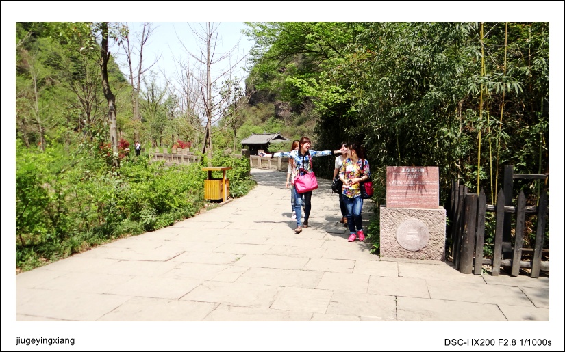 DSC04480_conew1.jpg