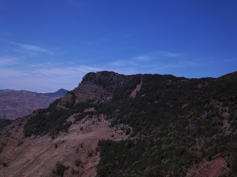 DSCF1380_.jpg
