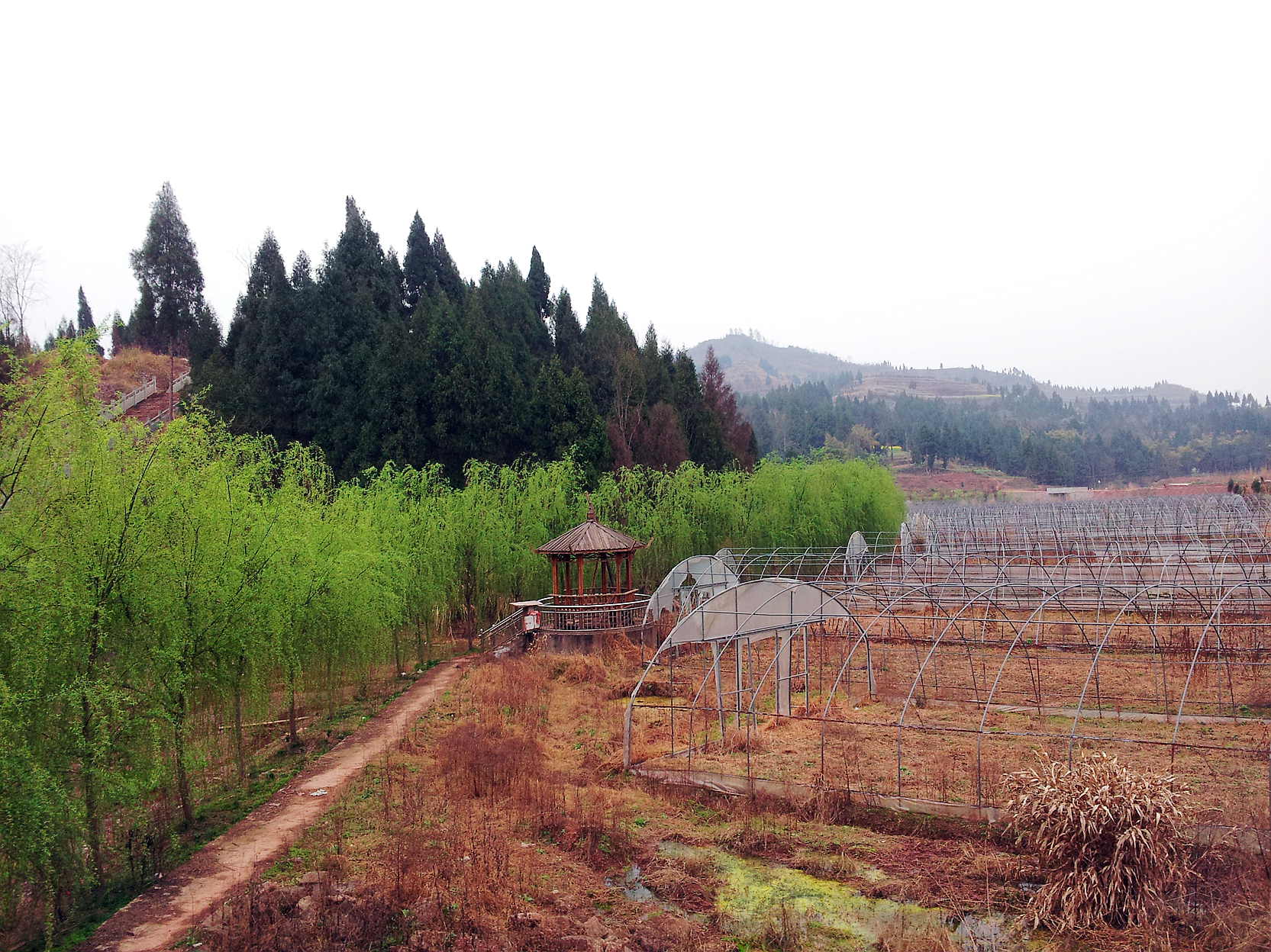20130311_154014.jpg