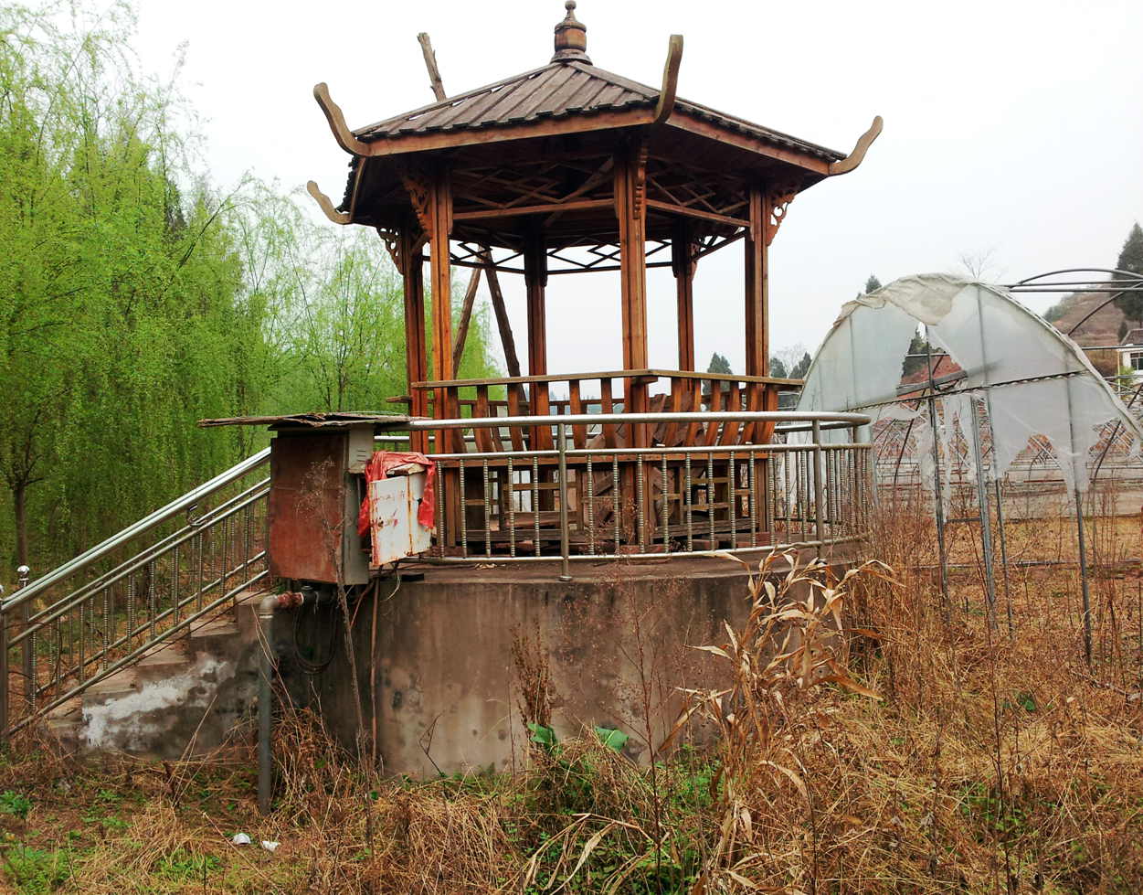 20130311_160705.jpg