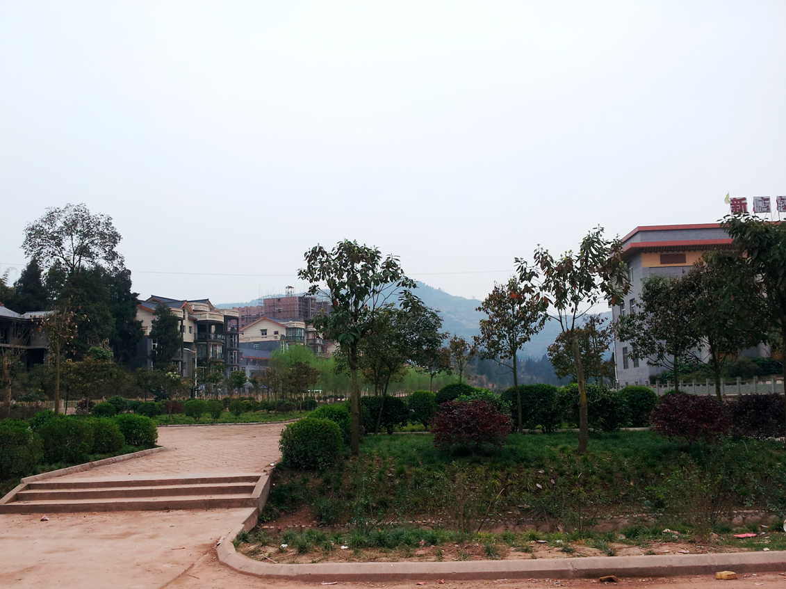 20130311_161257.jpg