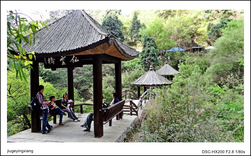 DSC04634_conew1.jpg