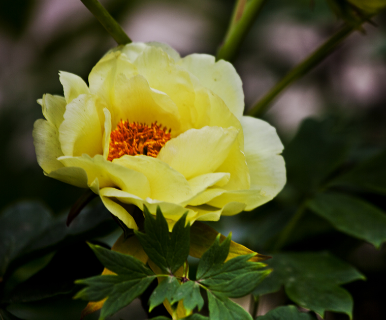 nEO_IMG__MG_5584.jpg