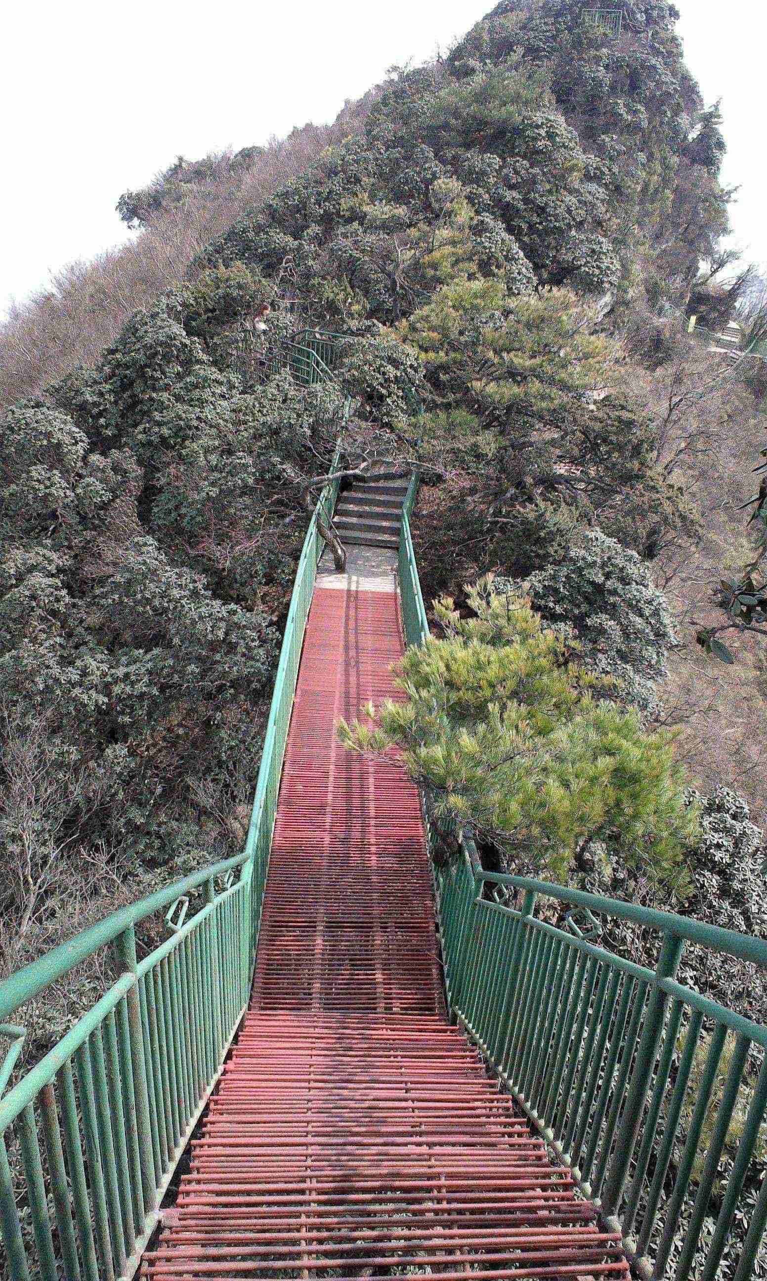 IMAG0077.jpg